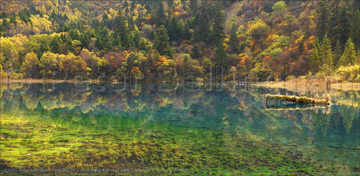 Peter Bellingham Photography Jiuzhaigou National Park - China T (PBH4 00 15407)